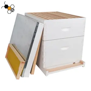 Insulated Unassembled Beehive White Wooden Bee Hives Kits Langstroth Beehive 10 Frame