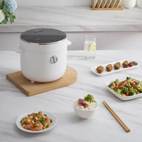 Ménage Revêtement Antiadhésif 2.0L Mini Multi Cuiseur À Riz Électrique Multi Cuiseur Petite Marmite Moins De Sucre Cuiseur À Riz