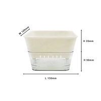 Plateau de germination pour graines de haricot biologiques en culture fraîche Microgreens d'intérieur avec trous de drainage