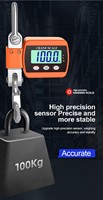 Báscula de Grúa Portátil de 500 kg con Pantalla Digital Electrónica, Báscula de Eje con Gancho de 300 kg, Verificador de Peso