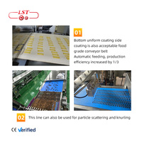Lst Automatische Chocolade Tempering En Enrobing Machine Voor Wafer Chocolade Coating Voor Noten Vruchten Bloem Water Ingrediënten