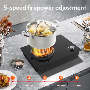 Nouvelle Conception Plaque de Cuisson Électrique Portable Domestique à Commande par Bouton, Haute Puissance 3000W 220V, Four à Flamme Électrique - Product Image 3