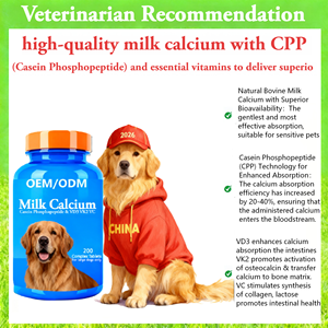 โรงงานขายยาเม็ดแคลเซียมนมสำหรับสุนัขขนาดกลางและขนาดใหญ่ ช่วยบำรุงข้อต่อและกระดูก ซ่อมแซมกระดูกอ่อน รับผลิตแบบ OEM/ODM - Product Image 3