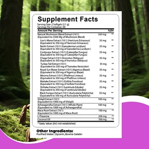 Gélules de champignons les plus vendues, contenant un mélange d'extraits de champignons naturels, favorisent la santé métabolique, capsules de gélules de champignons - Product Image 2