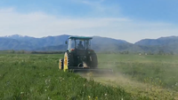 Vente chaude, faucheuse à fléaux à entraînement par prise de force, tracteur hydraulique à trois points, pour tondre les mauvaises herbes, pour mini-tracteur