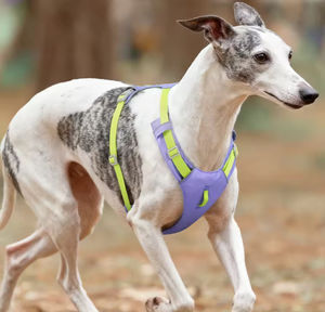 Harnais pour chien personnalisé avec logo, gilet de poitrine pour animaux de compagnie, imperméable, séchage rapide, léger, pour chiens de petite et moyenne taille - Product Image 2