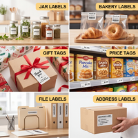 Impresora Portátil de Etiquetas Térmicas N20, Impresora de Etiquetas de Códigos de Barras sin Tinta, Mini Impresora de Envíos para Shopify, Amazon Retail
