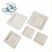 Assiettes carrées en bagasse de 6 pouces pour la livraison de repas en restaurant, les traiteurs, les plats à emporter, emballage alimentaire jetable