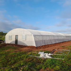 Serre agricole professionnelle à faible coût - Product Image 2