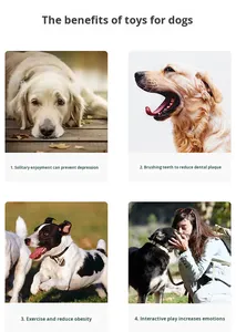 Jouet pour chien en TPR EVA hautement transparent, durable, résistant aux morsures, rebondissant, pour un jeu interactif et des soins dentaires - Product Image 5