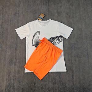2026 Nieuwe Mode Botprint Snel Droogende T-Shirt Set Heren Dun Ademend IJs Zijde Korte Mouw Casual 2-Delig Shirts & Tops Outfit - Product Image 5