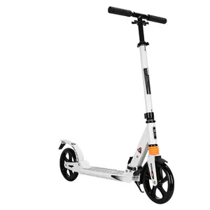 Người Lớn Scooter Một Thứ Hai Gấp Hai Bánh Xe Hấp Thụ Sốc Scooter Xách Tay Scooter Nhà Sản Xuất Thương Mại Nước Ngoài