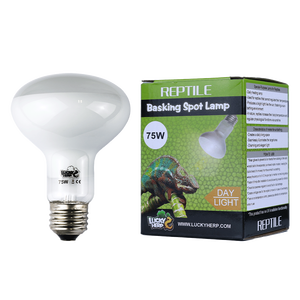 Lámpara Fluorescente UV Clásica de 75W para Reptiles, Fabricada en Vidrio para Lagartos, Productos para Mascotas, Gran Venta - Product Image 3