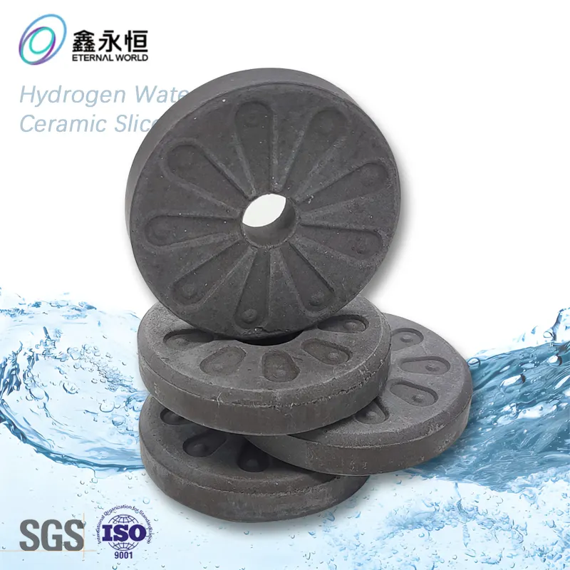 ETERNAL WORLD pH level 8-10 Professional Hydrogen Ceramic Disc 1600ppb ORP Negative Kangen Water Ceramic Filter