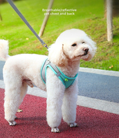 Fournitures pour Animaux de Compagnie en Gros Gilet Harnais Chiot et Chat Respirant et Réglable Accessoires Bouledogue Français Laisse et Harnais Ensemble de Harnais pour Chien