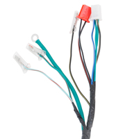 Manufacturer Customized Main Harness Wire for ZJ-125/CG-125 Motorbikes Customizable Motorcycle Electrical Systems Gear Included