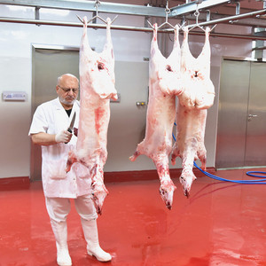 Ligne d'abattage des moutons avec machine à retirer la peau des chèvres, équipement de pelage du bétail - Product Image 5