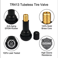 Valve de pneu tubeless en caoutchouc TR413 100 % testée anti-fuite et valves de roue de voiture haute pression anti-explosion en vrac