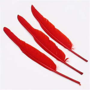 Haute Qualité Couleur Teinte Longue <span class=keywords><strong>D</strong></span>'<span class=keywords><strong>oie</strong></span> Plumes <span class=keywords><strong>D</strong></span>'ailes <span class=keywords><strong>Prix</strong></span> pour L'artisanat - Product Image 5
