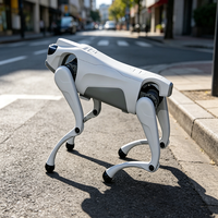 Robot chien quadrupède à haute capacité de charge, articulations flexibles, pour opérations de relevé et de sauvetage sur terrains complexes