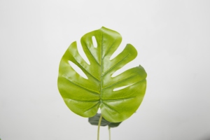 Venta al por mayor Monstera <span class=keywords><strong>plantas</strong></span> tamaño pequeño Artificial arbustos <span class=keywords><strong>plantas</strong></span> en macetas <span class=keywords><strong>plantas</strong></span> <span class=keywords><strong>artificiales</strong></span> casa estante de escritorio decoración de la Mesa - Product Image 2