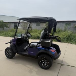 Chariot de <span class=keywords><strong>golf</strong></span> électrique de <span class=keywords><strong>2025</strong></span> Offre Spéciale 2 Seater, batterie au lithium 72V, - Product Image 5