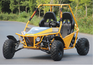 Buggy de plage 4x4, 150/200cc, 2 sièges, pour adultes, pas cher, avec certificat CE, en promotion, 2020 oeuf, nouvelle marque - Product Image 4