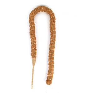 Oferta Especial: Varillas de Coco y Musgo Sphagnum para Soporte de Plantas Trepadoras y Macetas - Product Image 5