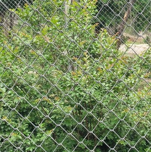 4ft 6 רגל שחור מגולוון chainlink 10 מד pvc מצופה ציקלון יהלום רשת גלגול ערכת שרשרת גבוהה קישור גדר חיתוך ריתוך - Product Image 4