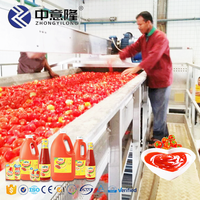Beste Prijs Automatische Tomatenpasta Verwerkingsmachine Fabrikant Fruit Groenteconcentraat Processor Met Puree Functie