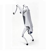 Bestseller Roboterhund Mechanischer Hund Vierbeiniger Roboter für Sicherheitsüberwachung