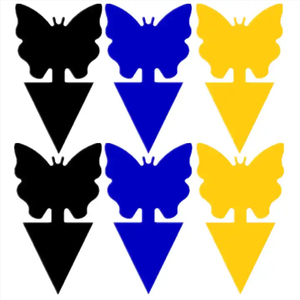 Garden Sticky Fly Trap Fruit Fly Indoor Sticky Insect <b>Glue</b> Traps Fruit Vegetable Insect Trap Sticky Board - Product Image 2