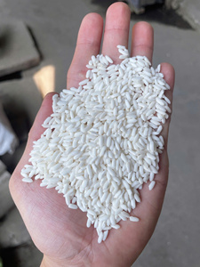 Arroz Blanco Glutinoso de Grano Largo 10% Quebrado para Cocinar, OEM/ODM, a Granel, 12 Meses de Caducidad - Product Image 2