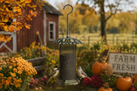 Mangeoire à oiseaux antique en métal grillagé avec tube à graines transparent, design écologique, crochet de suspension, toit en dôme et perchoirs pour décoration de jardin extérieur