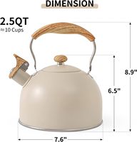 Bouilloire à thé sifflante en acier inoxydable avec poignée pliante en nylon Design classique Capacité de 3,0 L Écologique