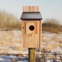 JUNJI Mangeoire à oiseaux en bois avec perchoirs personnalisables Kit de construction de menuiserie pour enfants et adultes