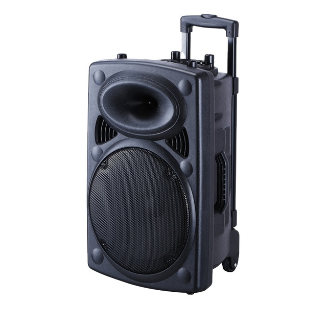 HAOSUO 12 Inch  Portable  Trolley Bt Party Speaker with Led Light