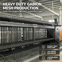 Caisse de gabion galvanisée à chaud conforme à la norme GOST, cage de gabion hexagonale pour la protection des rives des rivières en génie hydraulique en Russie