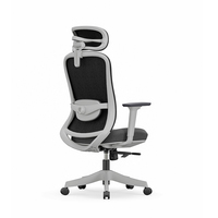 Chaise de bureau ergonomique NOEL à dossier haut, design moderne, avec support lombaire 2D, chaise de bureau en maille certifiée BIFMA