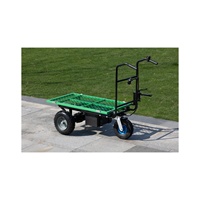 Mini-dumper électrique ANT EBY200 à 3 roues avec composants essentiels (roulements et engrenages) et batterie au plomb verte