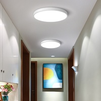 Éclairage LED moderne pour couloir Éclairage de plafond Radar intelligent Détecteur de mouvement et commande vocale pour entrée Escalier Corps en fer