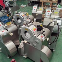 All-in-one industriële 3D-snijmachine voor groenten & fruit: snijdt, raspt en dooit in blokjes, met hoge efficiëntie en precisie