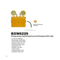 Luminaire d'urgence LED à deux têtes, batterie au lithium rechargeable, lumière de sécurité pour station-service, usine chimique