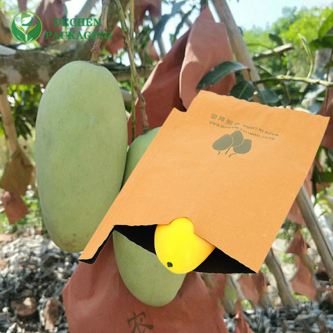 Bagging Paper Bag for Fruit Company for Fruit Exporter Bagging - Wholesale & High-Quality Bagging Paper Bag for Fruit Company for Fruit Exporter Bagging - Wholesale & High-Quality