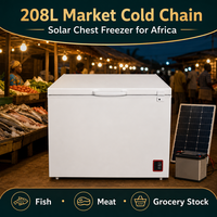 Congélateur coffre solaire AC/DC 208L 75W avec réfrigérant R134a pour le marché africain, idéal pour la chaîne du froid, le stockage de poissons, de viandes et d'épicerie