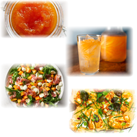 Poudre d'arôme de melon Hami concentré de qualité supérieure, saveur cantaloup, pour boissons, glaces et liquides – Vente en gros usine