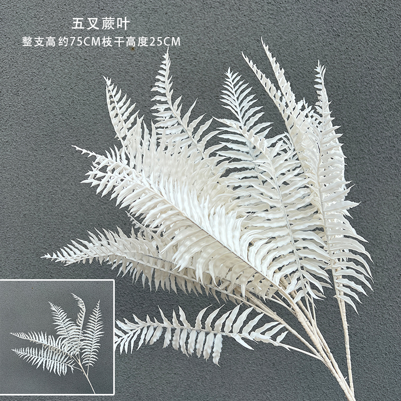 White five-leaf fern leaves