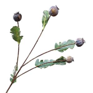 <span class=keywords><strong>Fleurs</strong></span> <span class=keywords><strong>de</strong></span> pavot artificielles en mousse, fruits <span class=keywords><strong>de</strong></span> pavot simulés, branche <span class=keywords><strong>de</strong></span> fruits <span class=keywords><strong>de</strong></span> pavot, <span class=keywords><strong>bouquet</strong></span> <span class=keywords><strong>de</strong></span> fruits <span class=keywords><strong>de</strong></span> pavot séchés d'<span class=keywords><strong>automne</strong></span> - Product Image 4