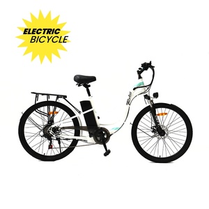 Vélo électrique en acier blanc à cadre courbé 36V 250W pour hommes et femmes, fabriqué en Chine - Product Image 1