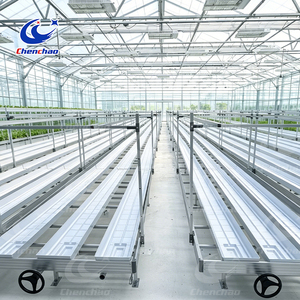 <span class=keywords><strong>Plateau</strong></span> <span class=keywords><strong>rigide</strong></span> en ABS renforcé pour système d'irrigation par flux et reflux, idéal pour la culture sur table roulante en usine horticole - Product Image 5